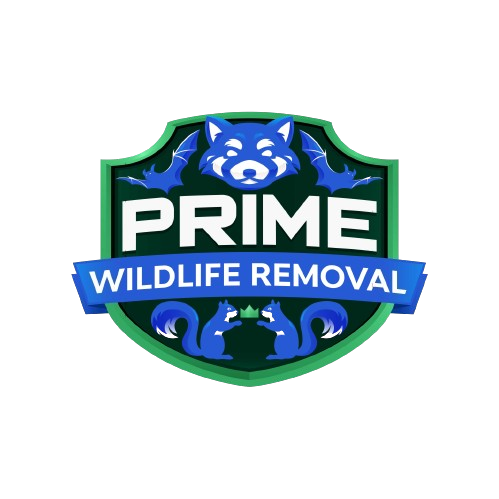 Animal Removal Olive Township